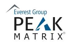 Everest Peak Matrix Logo